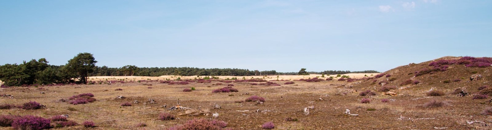 Voorthuizen