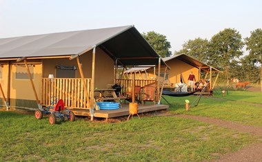 Luxe safaritenten met badkamer bij de boer Luxe safaritenten met badkamer bij de boer