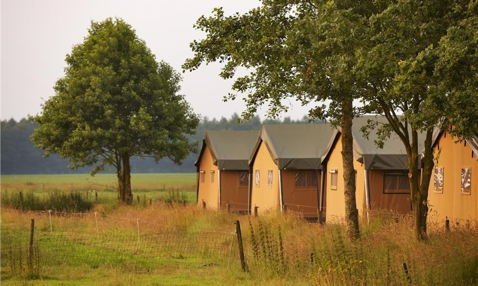 Safaritent bij de boer