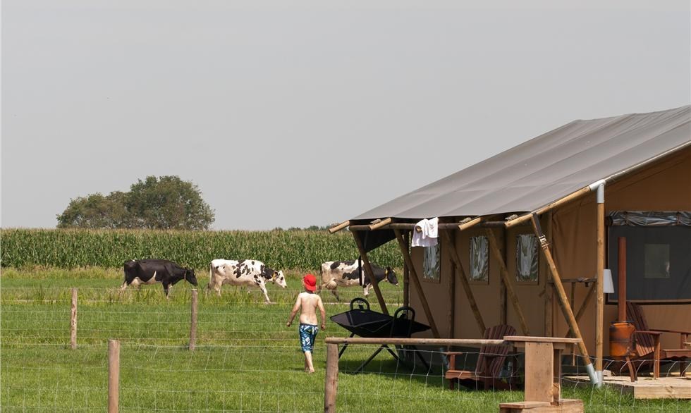 Safaritent aan een waterpretweide