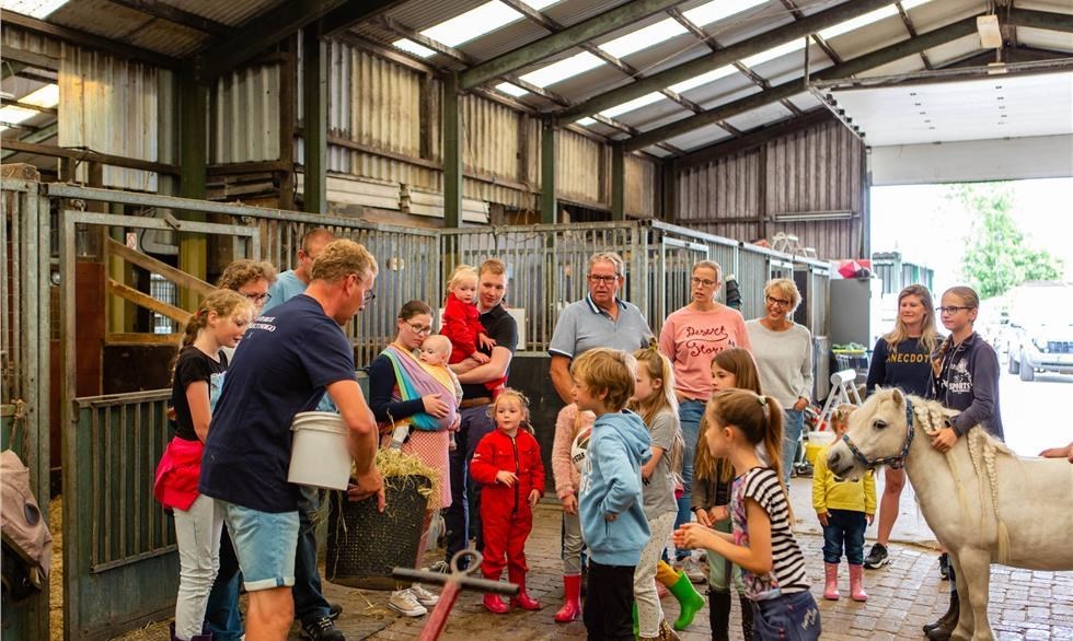 Luxe safaritent op een paardenpension