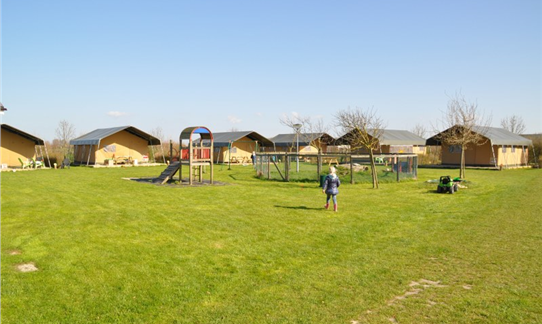 Safaritent op een schapenmelkerij