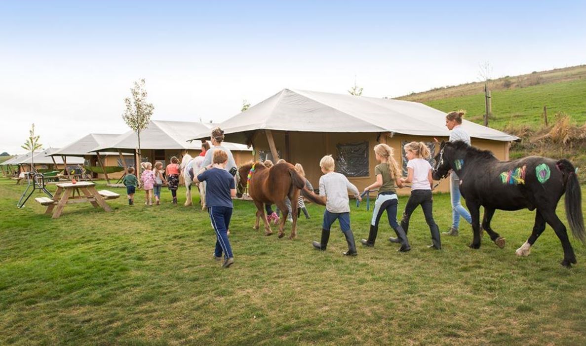 Safaritent in de Limburgse heuvels