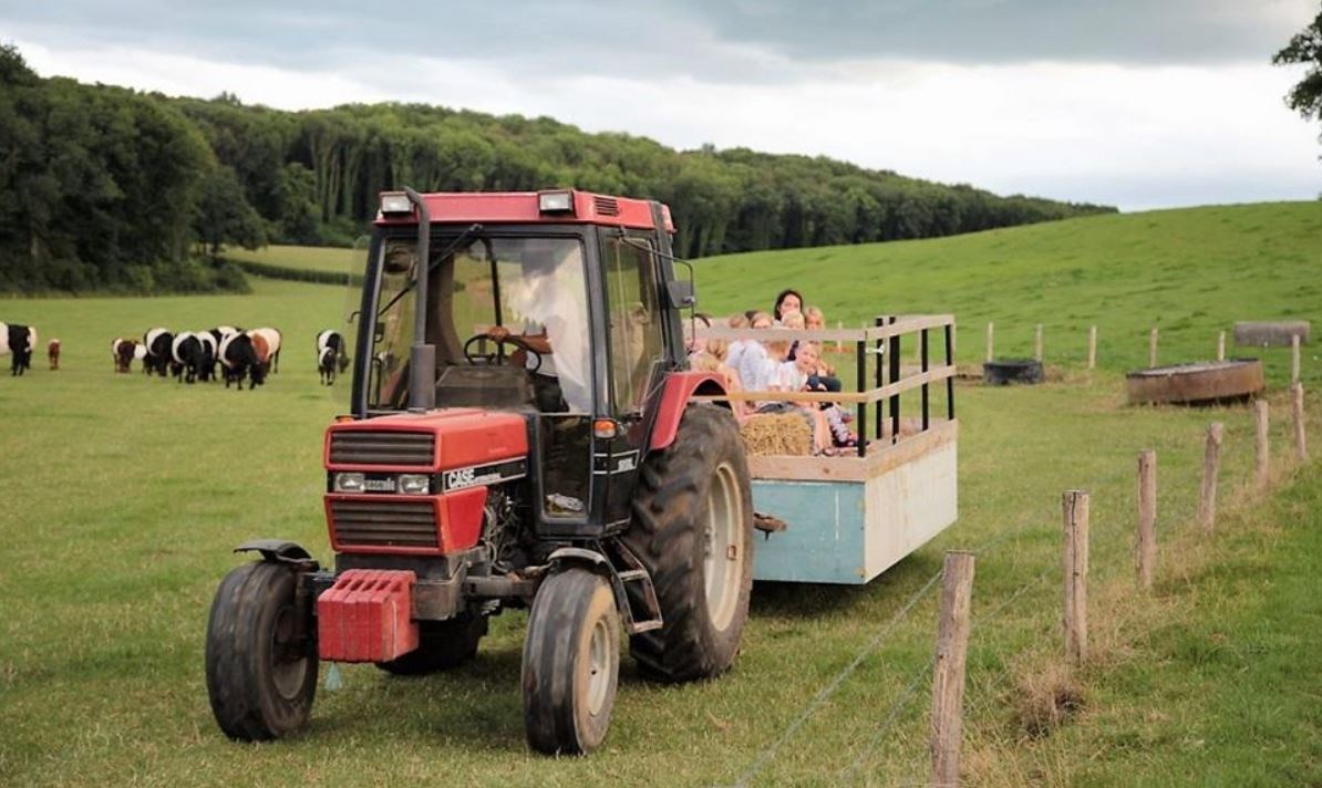 Safaritent in de Limburgse heuvels