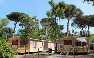 Lodgetent met badkamer Lodgetent met badkamer