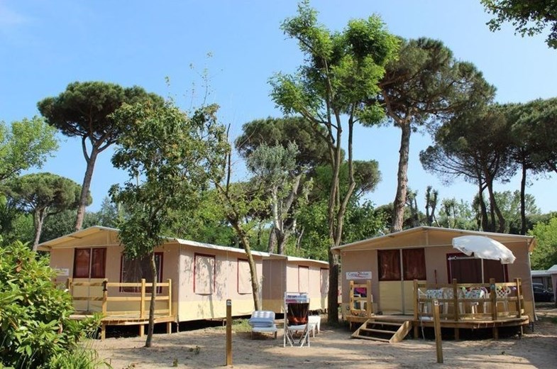 Lodgetent met badkamer Lodgetent met badkamer