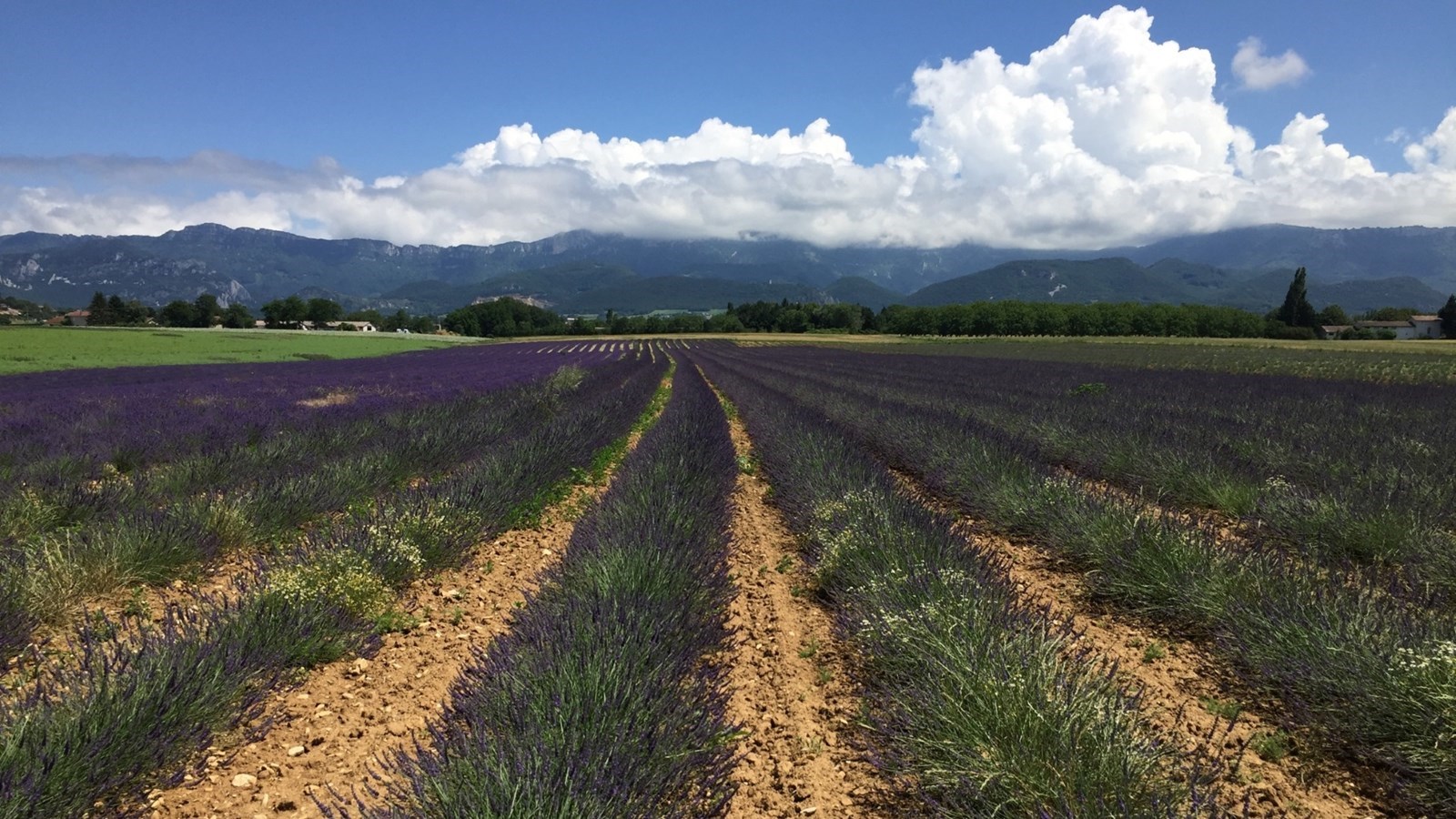 Bijzondere Glamping in de Drôme