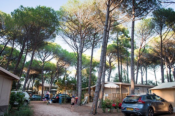 Lodgetent met badkamer 