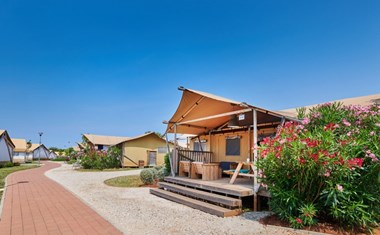 Glamping safaritent met eigen badkamer en airco Glamping safaritent met eigen badkamer en airco