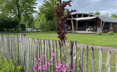 Luxe Lodgetent met privé sanitair en groot terras Luxe Lodgetent met privé sanitair en groot terras