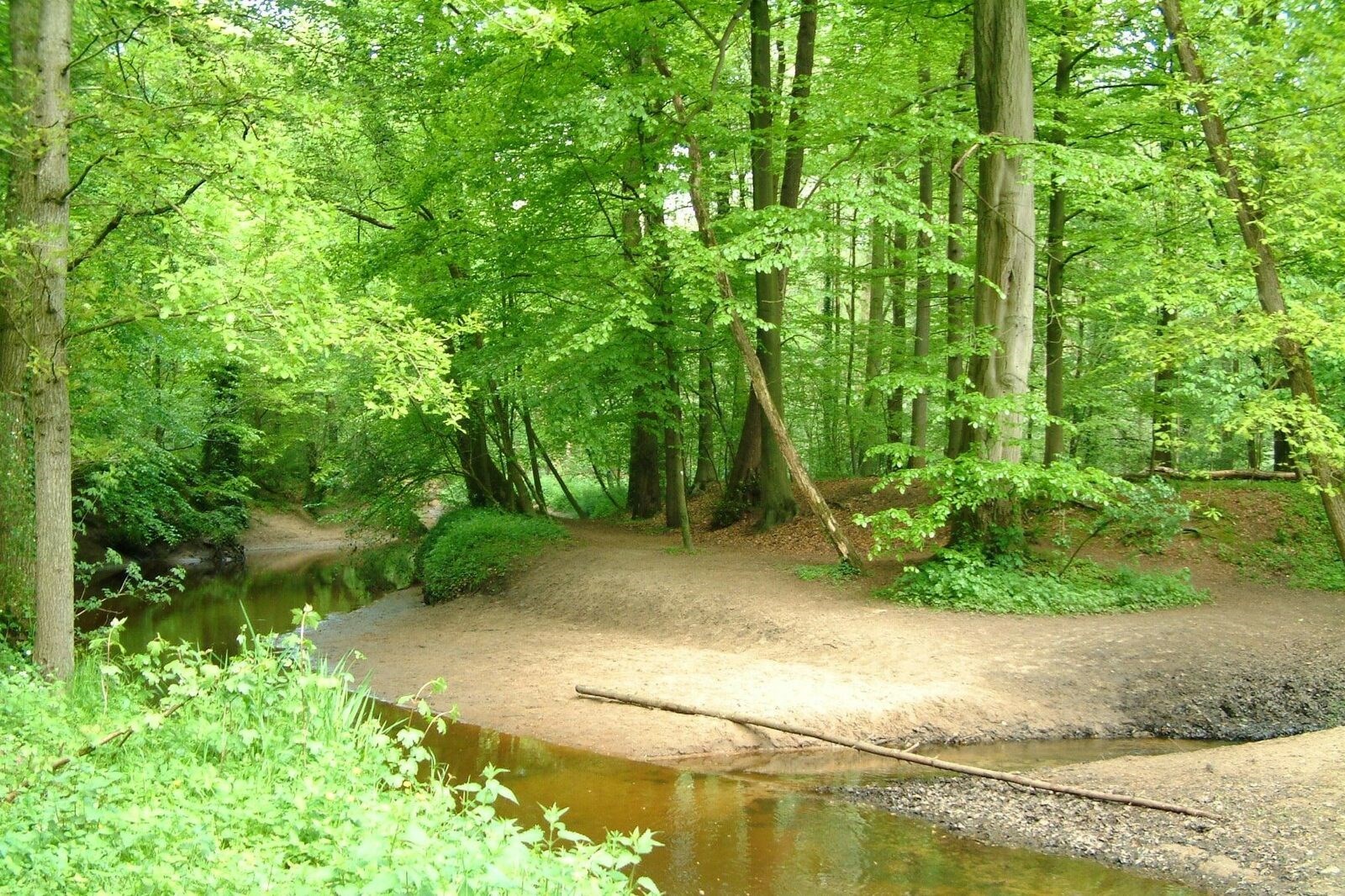 Unieke Skycabin met eigen sanitair