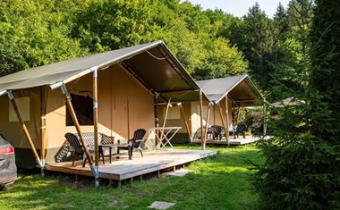 Safaritent met eigen badkamer midden in de bossen Safaritent met eigen badkamer midden in de bossen