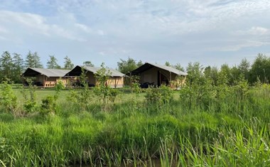 Safaritent met privé sanitair in Friesland Safaritent met privé sanitair in Friesland