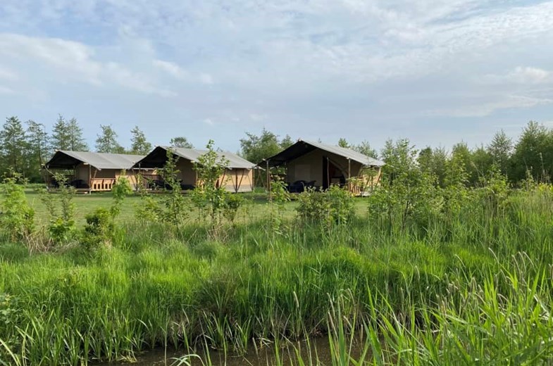 Safaritent met privé sanitair in Friesland Safaritent met privé sanitair in Friesland
