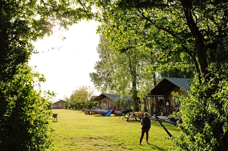 Luxe Lodgetent met badkamer aan de Zeeuwse kust Luxe Lodgetent met badkamer aan de Zeeuwse kust