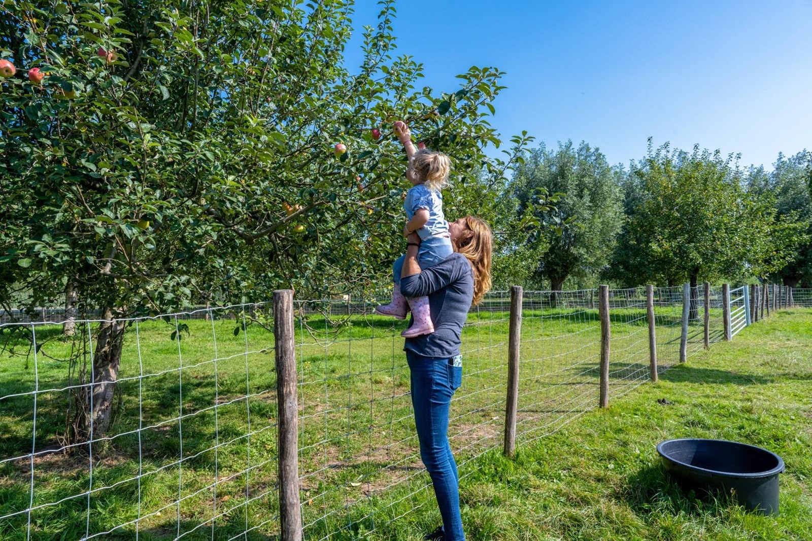 Grote Barntent met slaapzolder, badkamer en ligbad