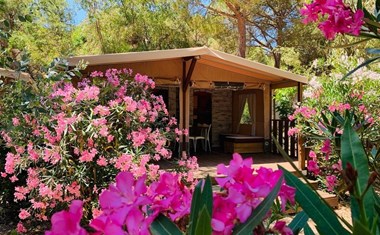 Lodgetent met badkamer Lodgetent met badkamer