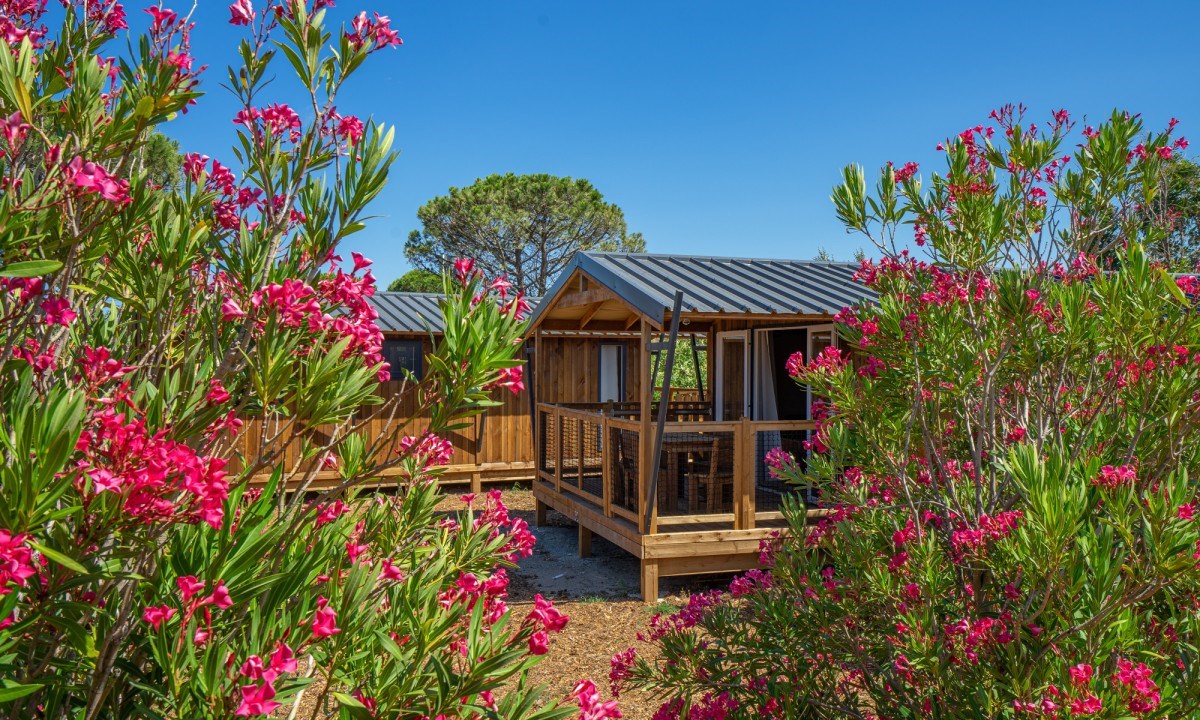 Lodgetent met airco en badkamer in de Languedoc-Roussillon