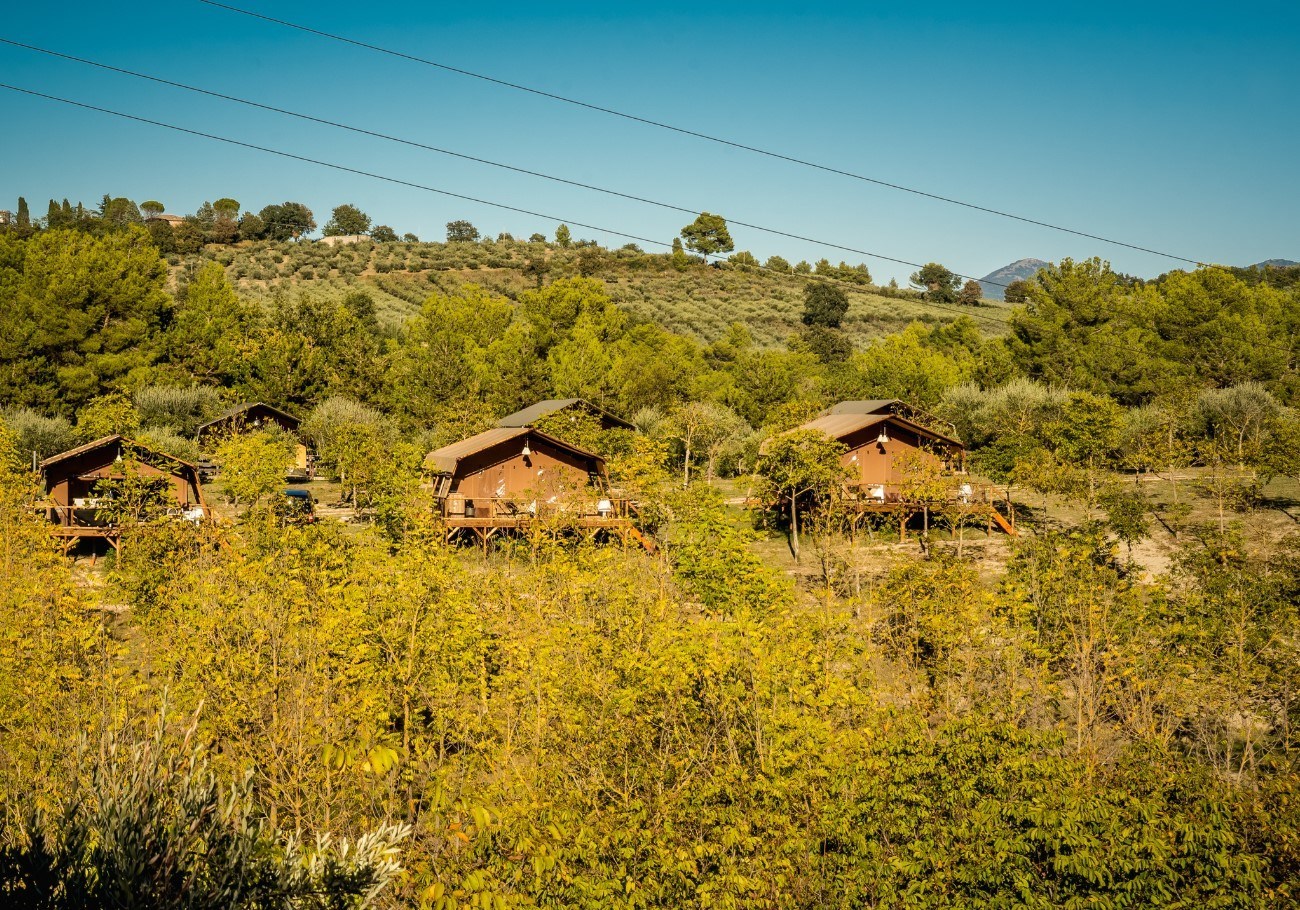 Safaritent met privé sanitair op een authentieke agriturismo in Umbrië