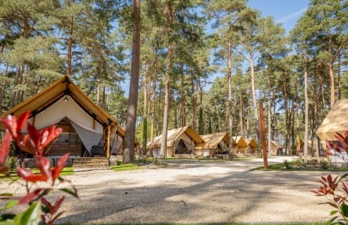 Glamping met eigen sanitair in de Belgische Kempen