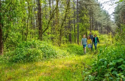 Glamping met eigen sanitair in de Belgische Kempen