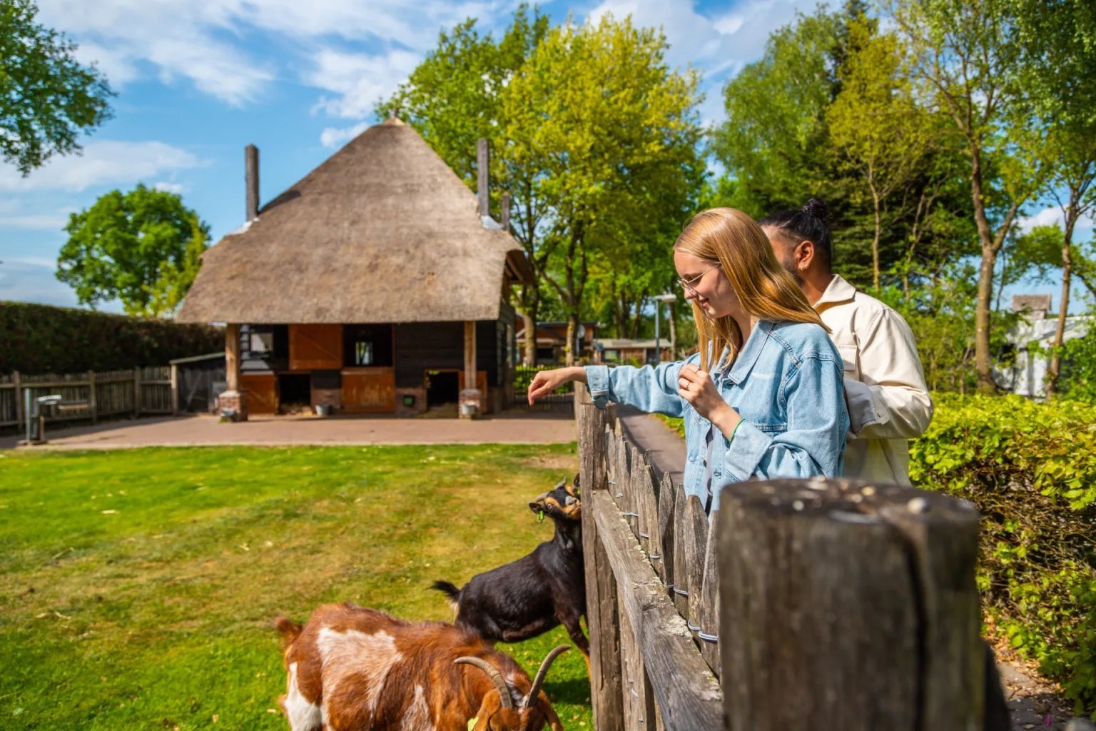 Glampingtent voor 6 personen op de Veluwe