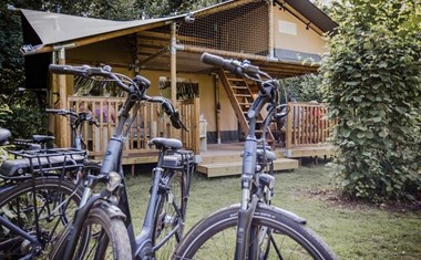 Glamping in een luxe lodgetent in de groene Antwerpse Kempen Glamping in een luxe lodgetent in de groene Antwerpse Kempen