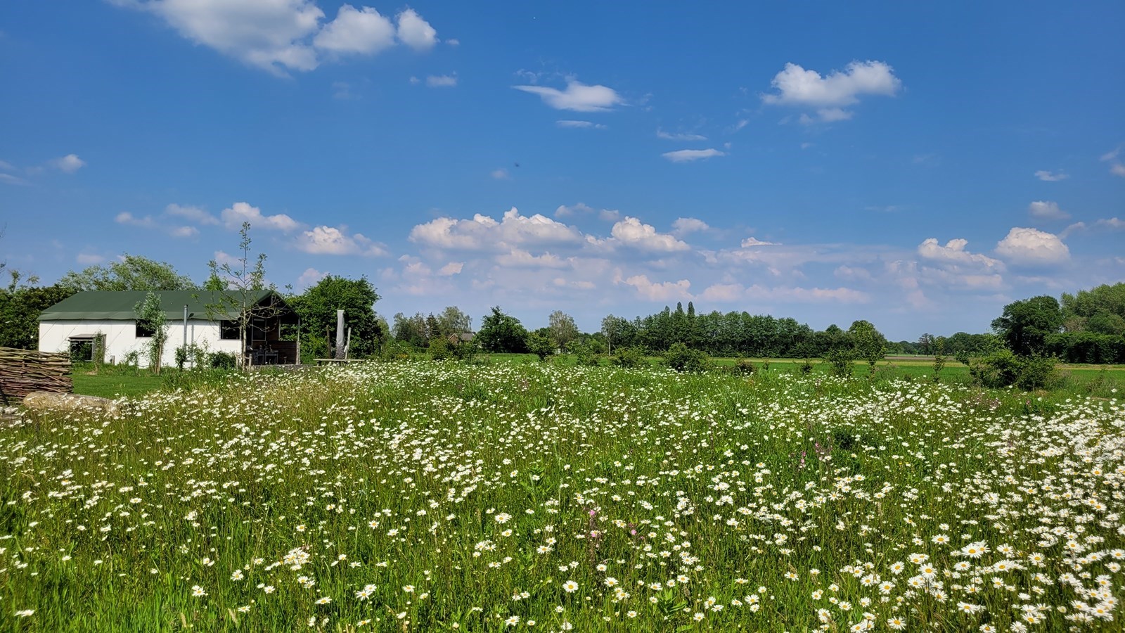 Luxe Glamping tent in de Achterhoek