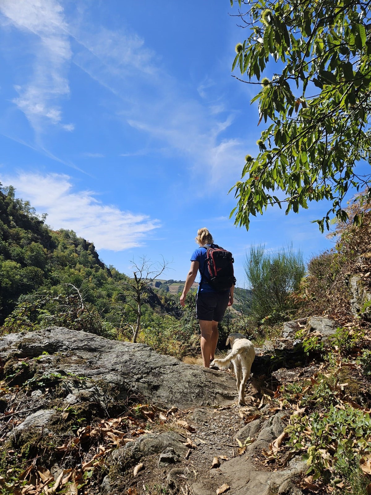 Safaritent met eigen sanitair voor 6 personen in zuid Frankrijk