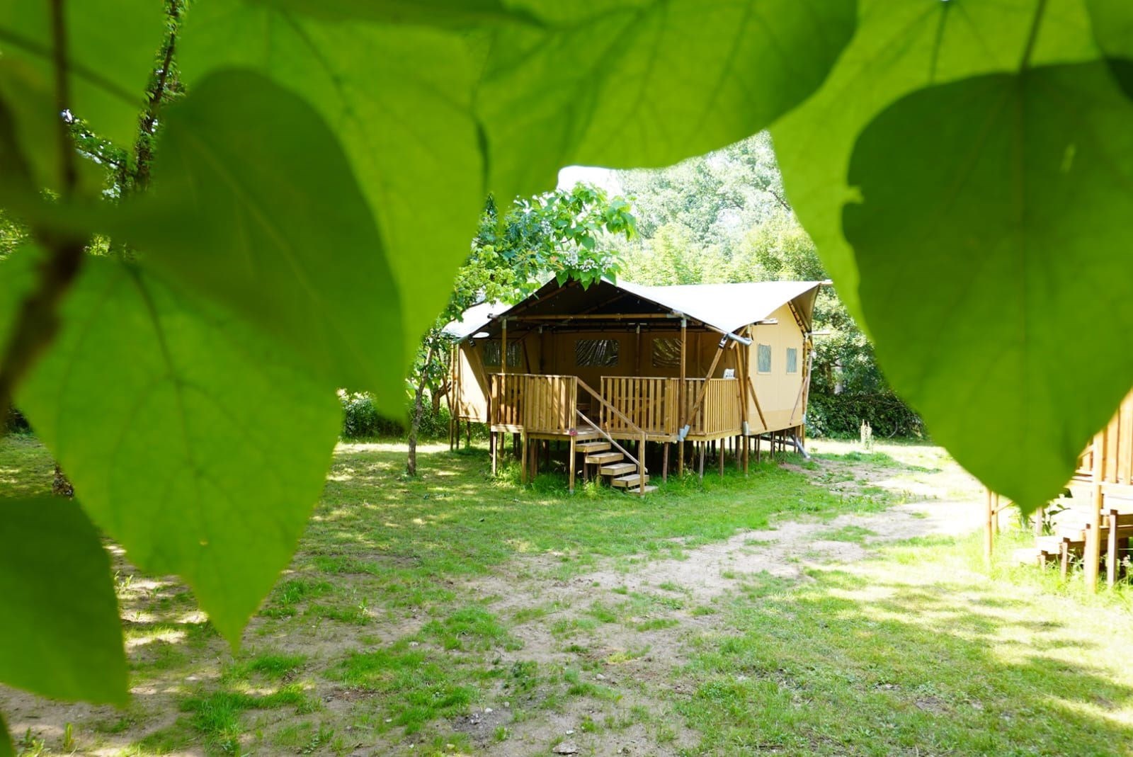 Safaritent met eigen sanitair voor 6 personen in zuid Frankrijk