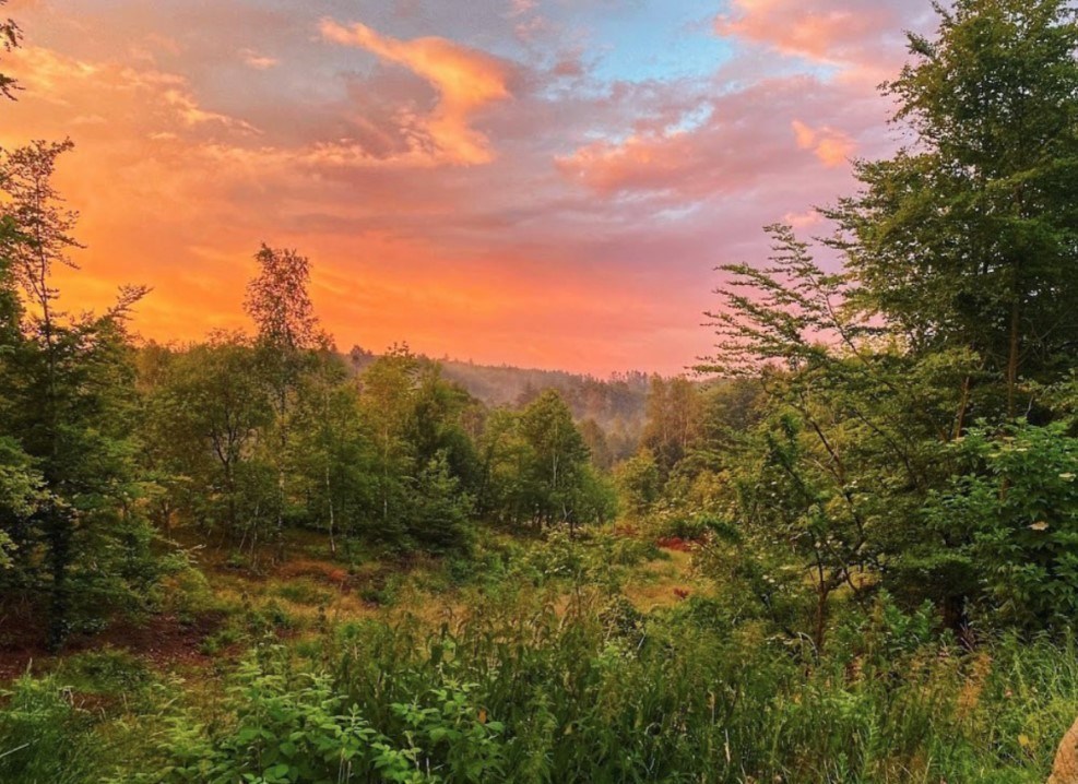 Glamping in Denemarken in een stoere Safaritent met badkamer