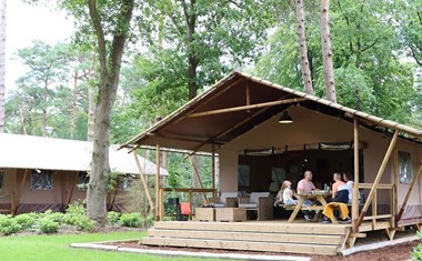 Grote Safaritent tussen de bomen Grote Safaritent tussen de bomen