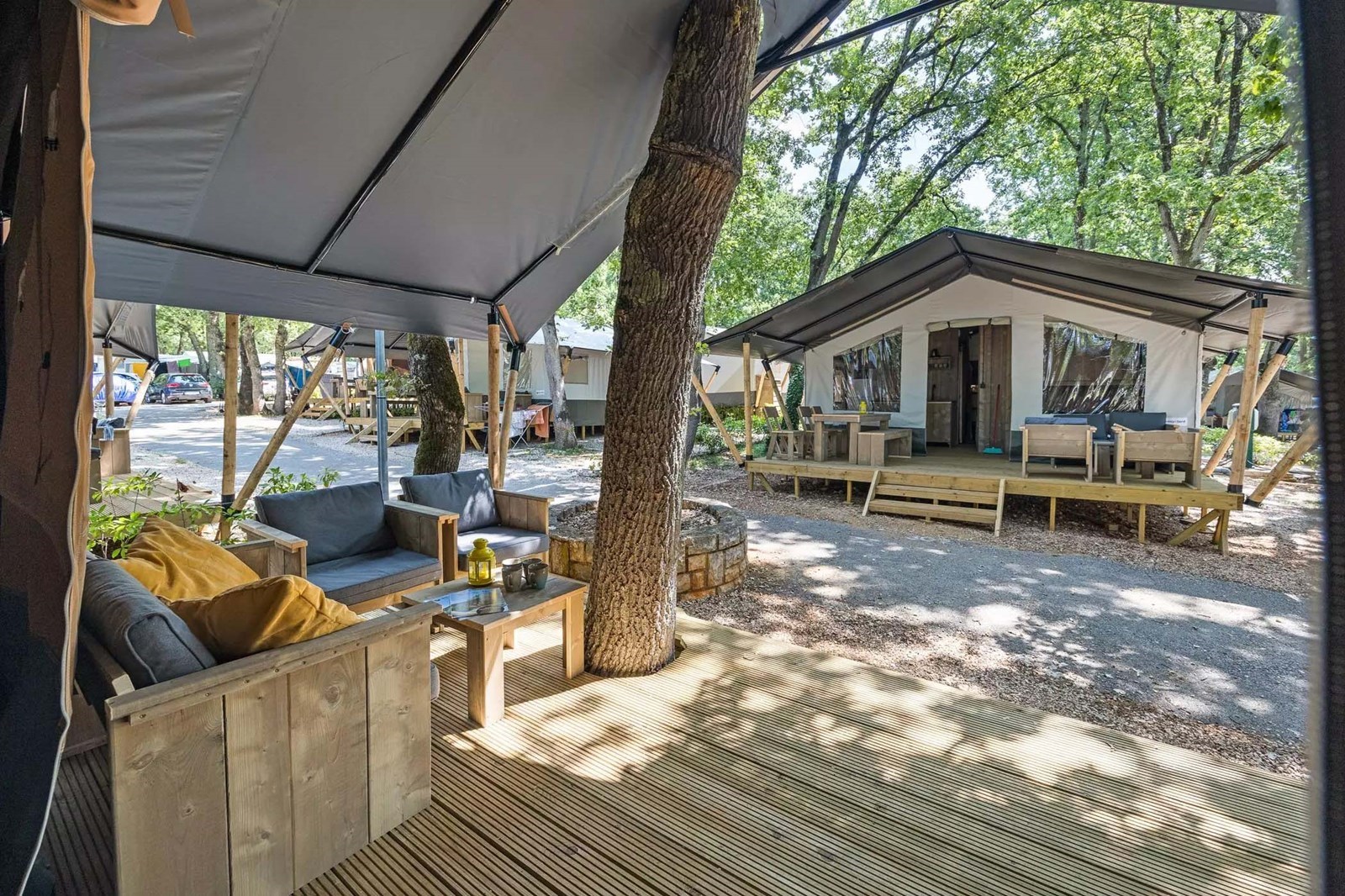 Safaritent voor 4 personen met badkamer