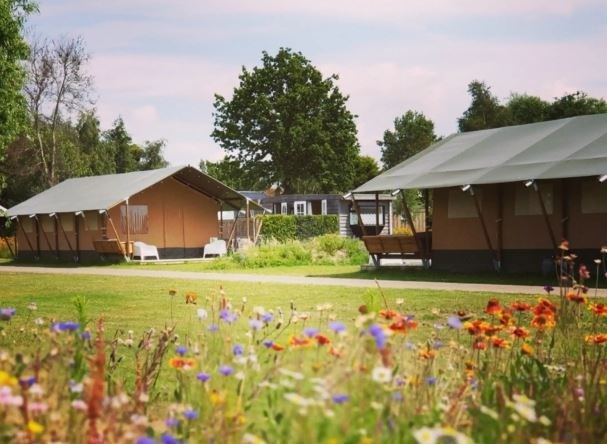 Safaritent voor 6 personen met toilet en wastafel