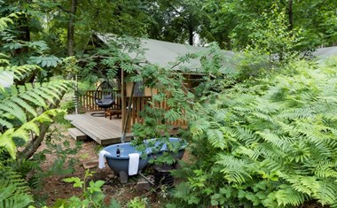 Glamping in een luxe Lodgetent op de Veluwe Glamping in een luxe Lodgetent op de Veluwe