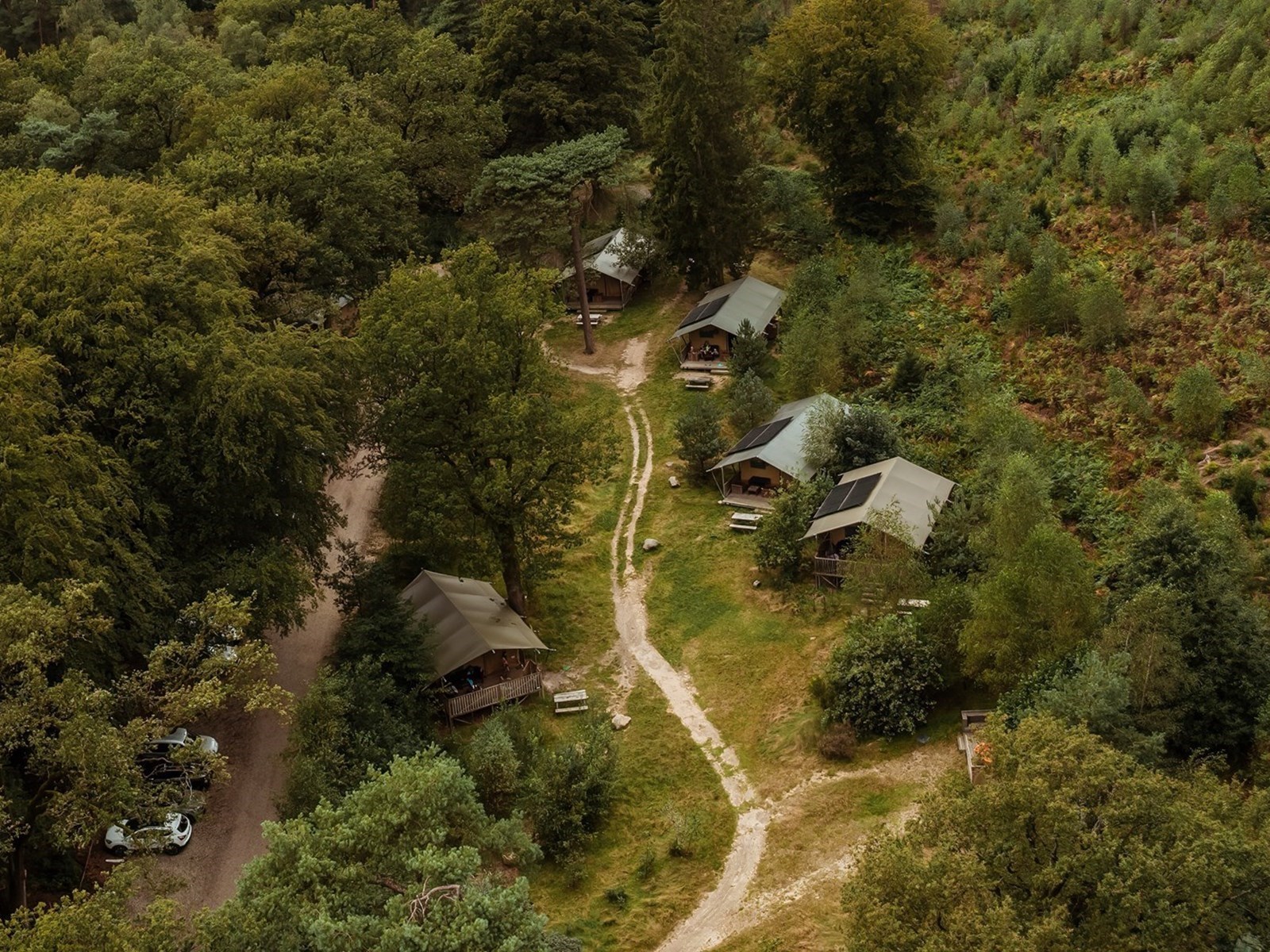 Glamping in een luxe Lodgetent op de Veluwe