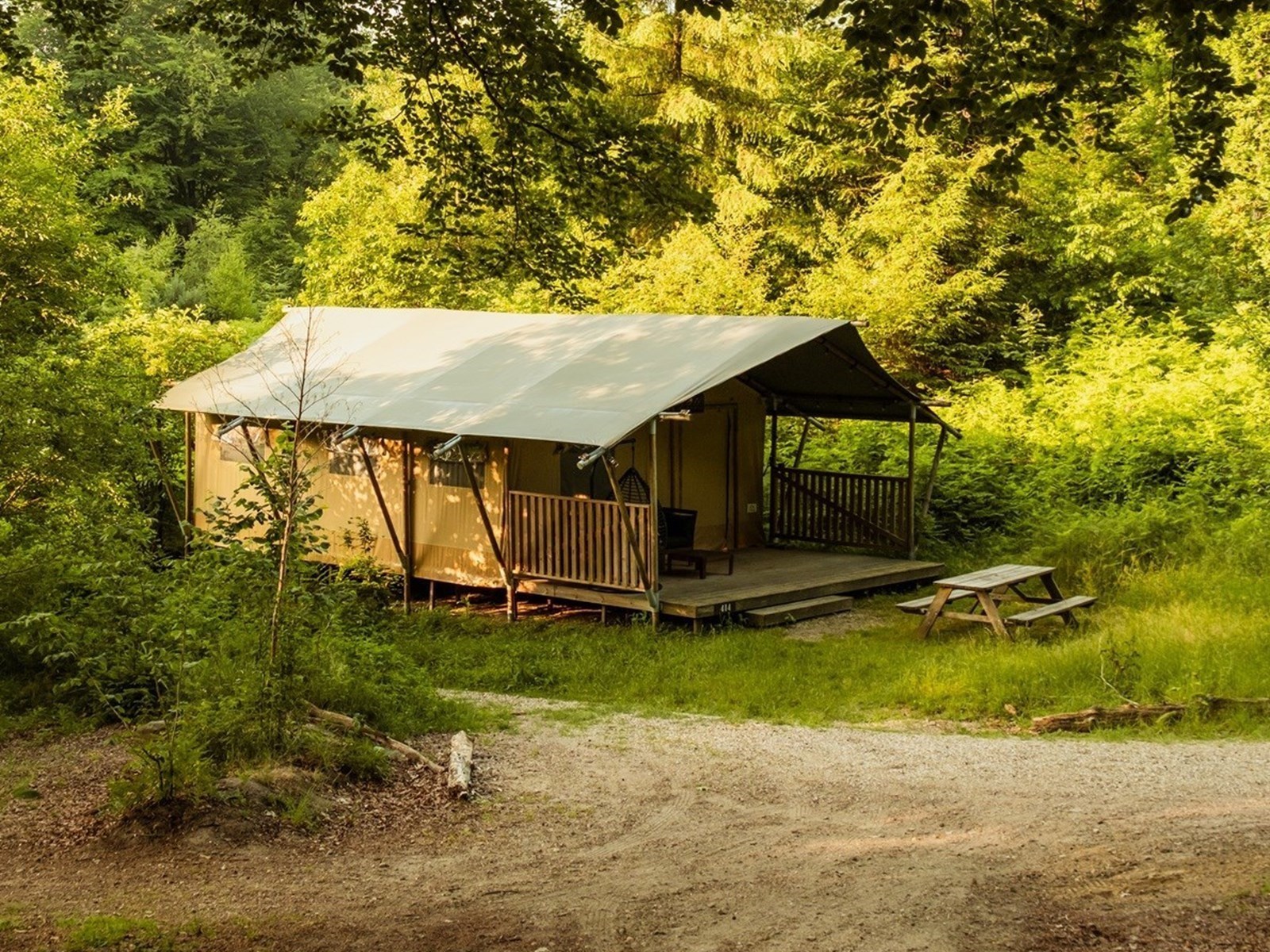 Glamping in een luxe Lodgetent op de Veluwe