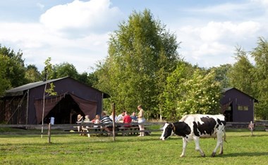 Safaritent op de boerderij Safaritent op de boerderij