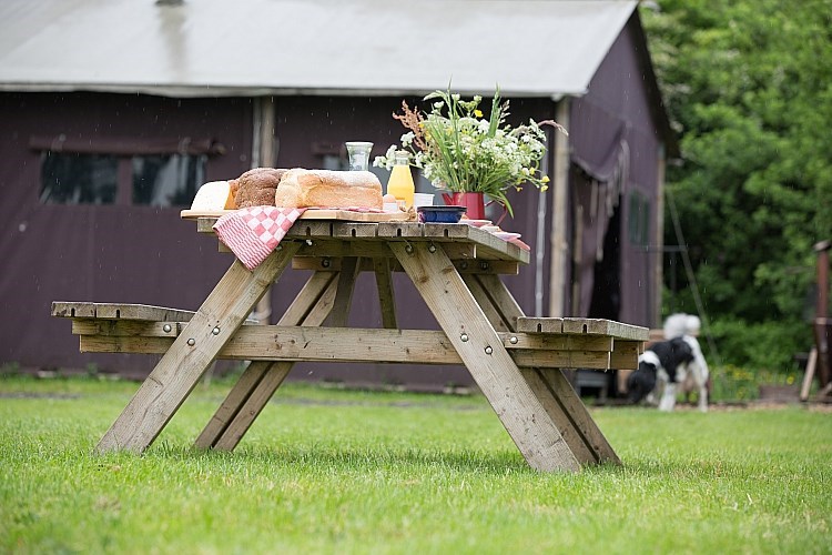 Safaritent op Terschelling