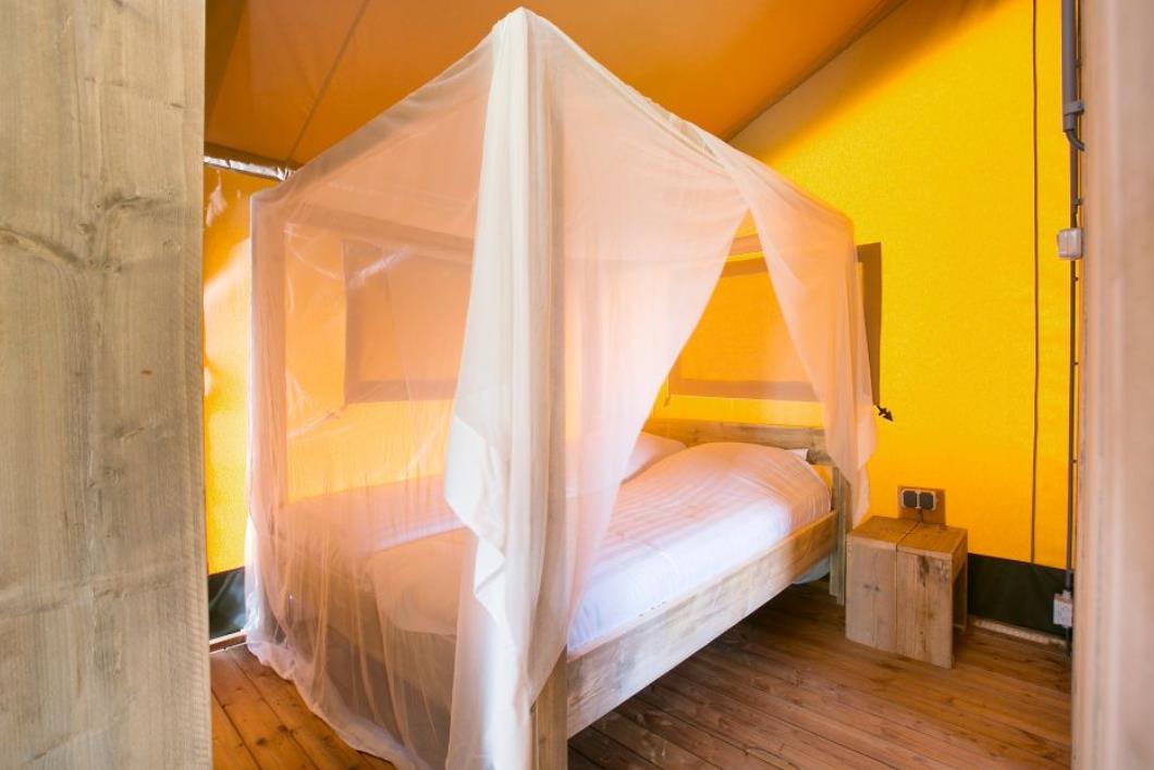 Safaritent in de kop van Noord-Holland