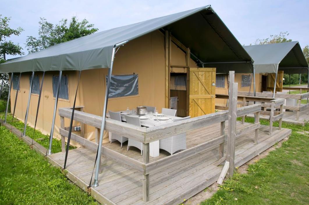 Safaritent in de kop van Noord-Holland