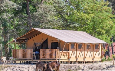 Glamping tussen wilde dieren Glamping tussen wilde dieren