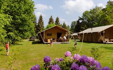 Safaritent Wold Lodge Safaritent Wold Lodge