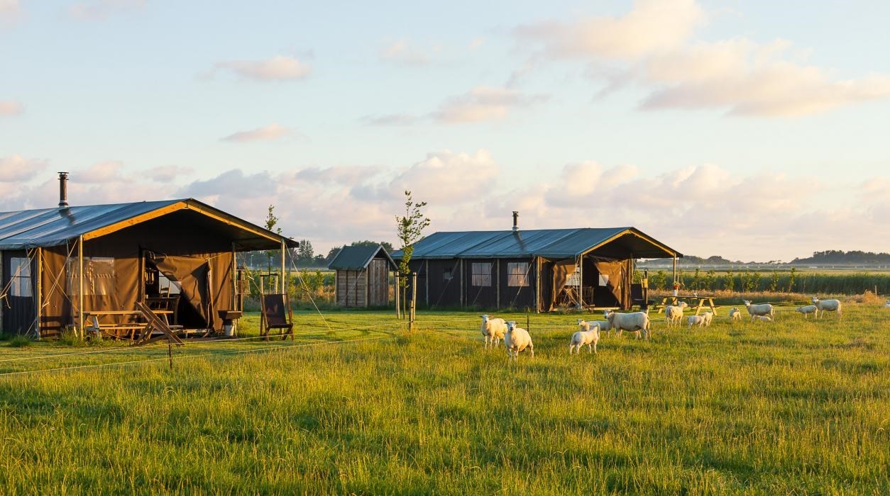 Safaritent op Ameland