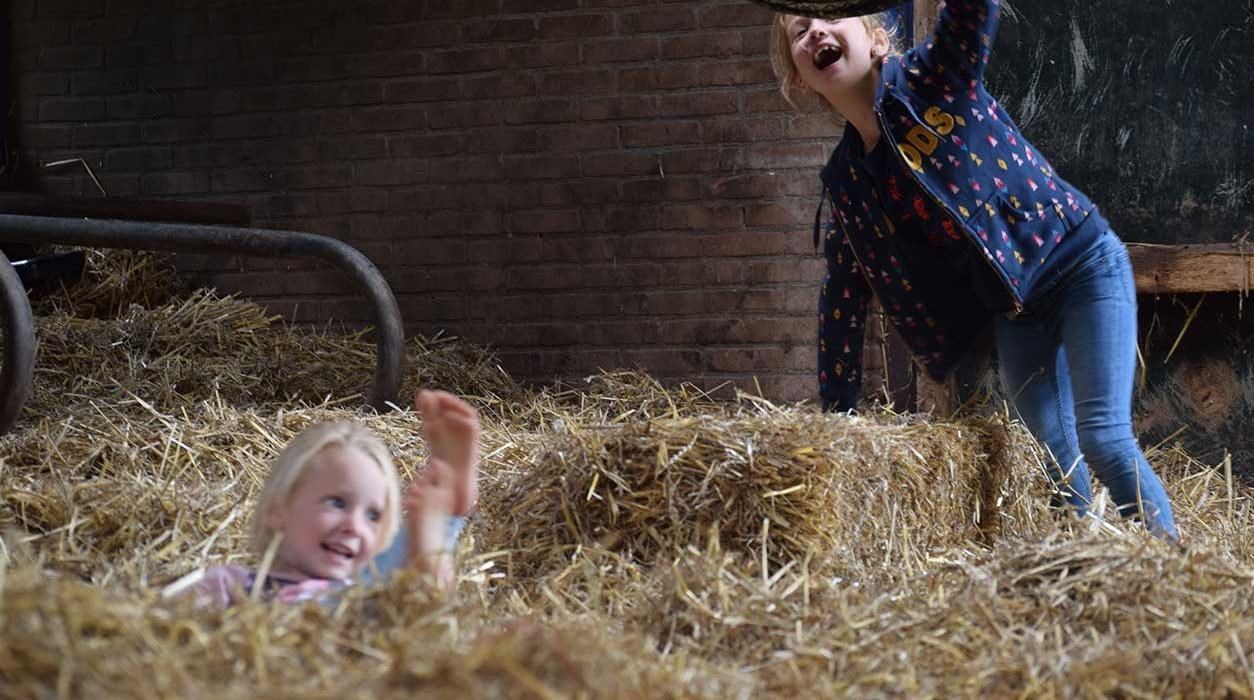 Safaritent bij het Tjeukermeer