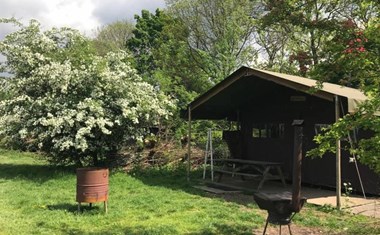 Safaritent op een boerderij Safaritent op een boerderij