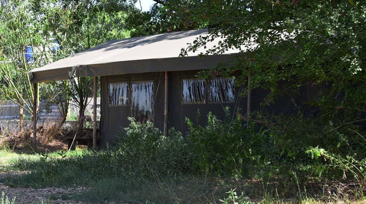 Safaritent op een boerderij 