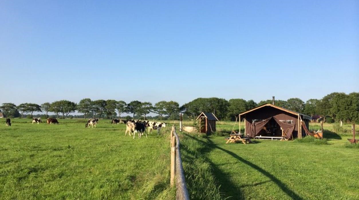 Safaritent op een boerderij