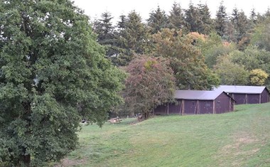 Safaritent op een boerderij Safaritent op een boerderij