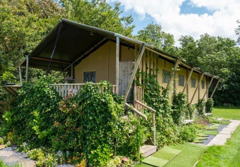 Safaritent in de natuur